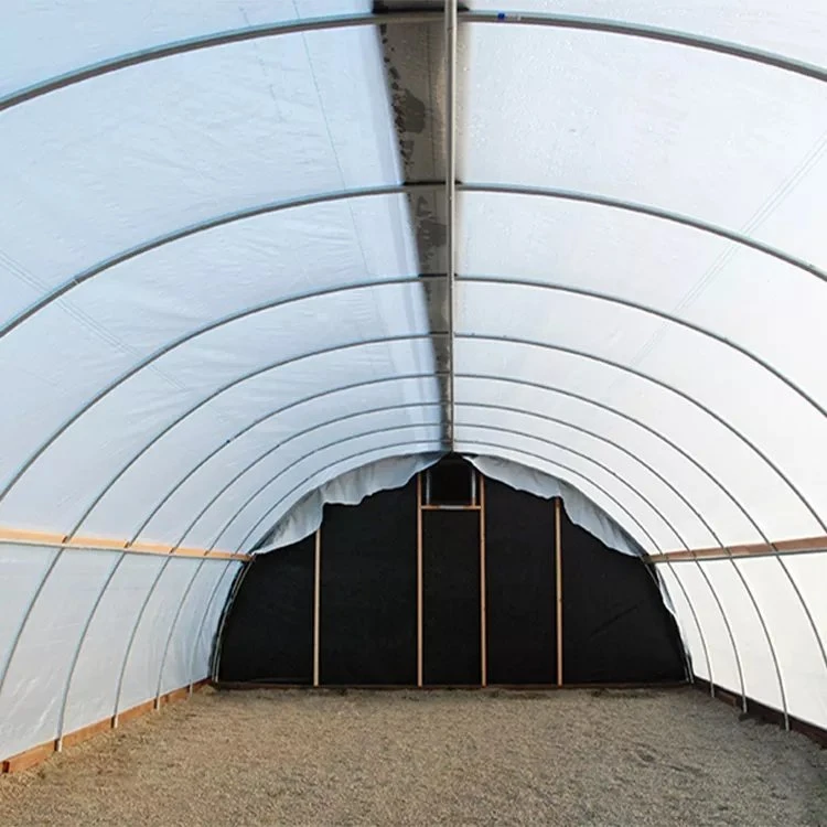 Tunnel agricole automatisé économique plastique verre hydroponique Blackout Light privation Serre de tomates