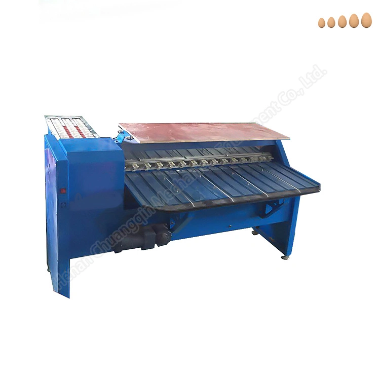 Egg Grading and Washing Machine Egg Sorter Machine Egg Grading Machine Egg Grader Machine Egg Sorting Machine Egg Size Grader Egg Weight Grading Machine