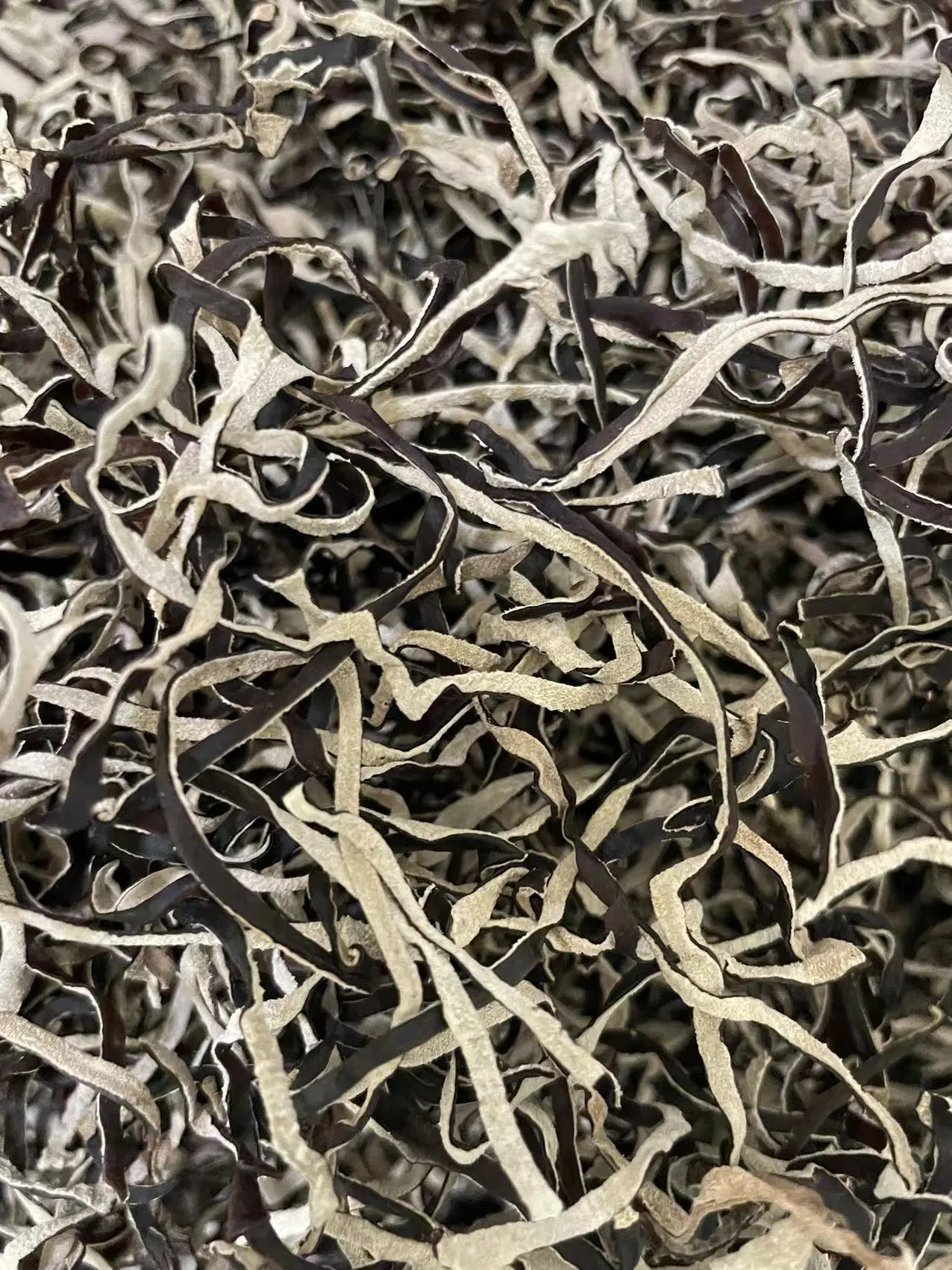 New Crop Chinese Dried Black Fungus in Plastic