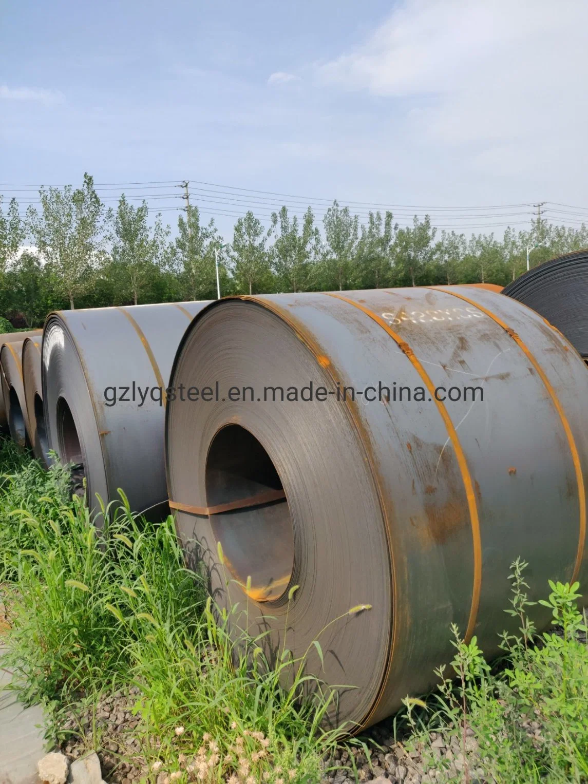 SS316 Hot Rolled Steel Coil Product for Industry