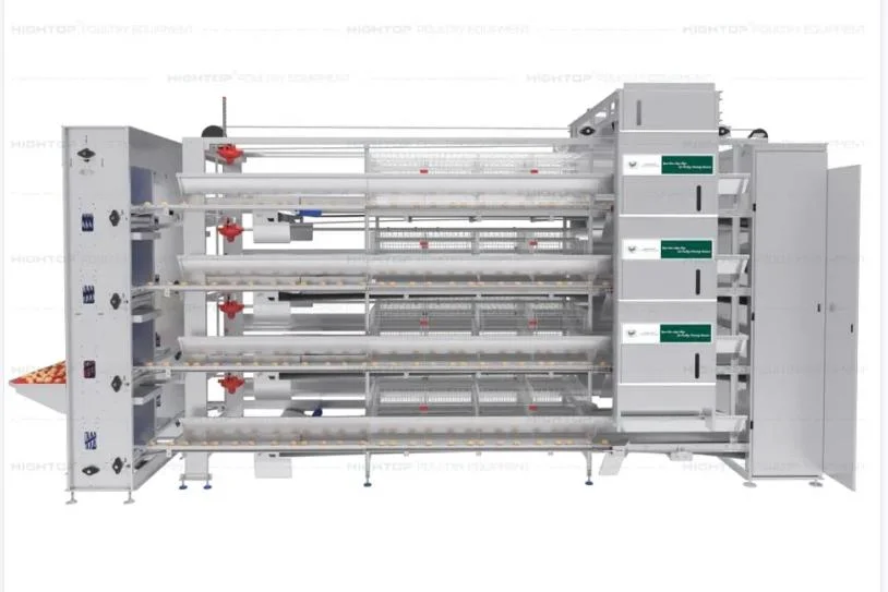 Aves de corral de capa automática Equipo agrícola batería Chicken Egg Layer Cage Sistema