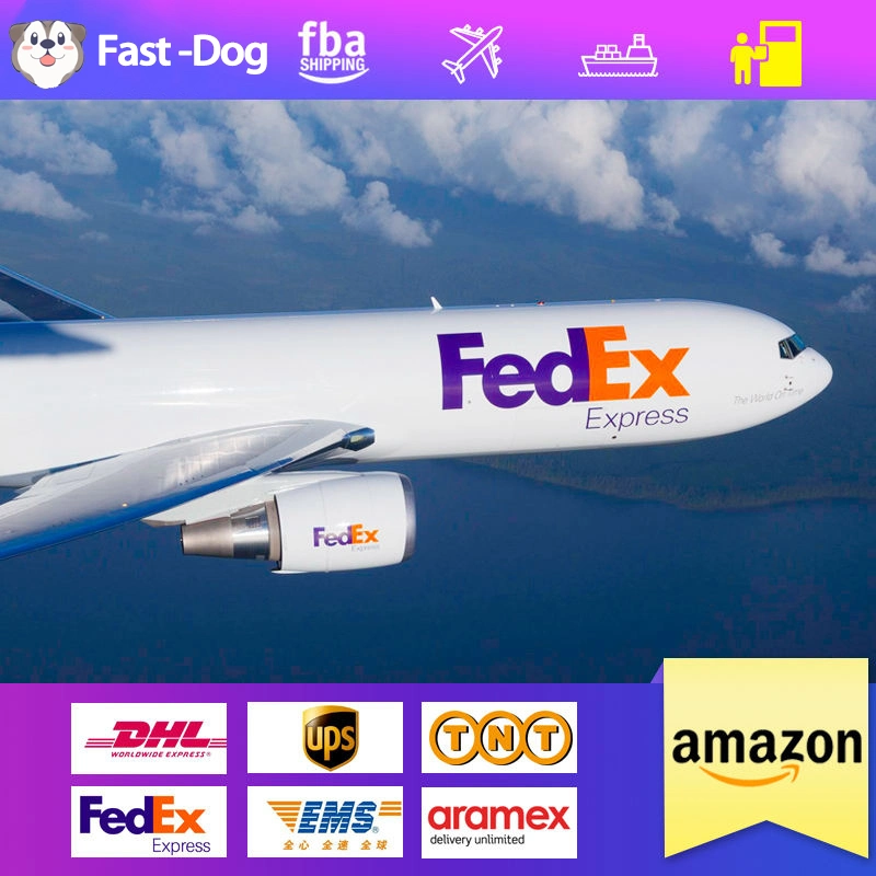 Fba DDP Dropshipping Service Air Cargo Shipping to USA Italy UK France Agent Free Warehouse