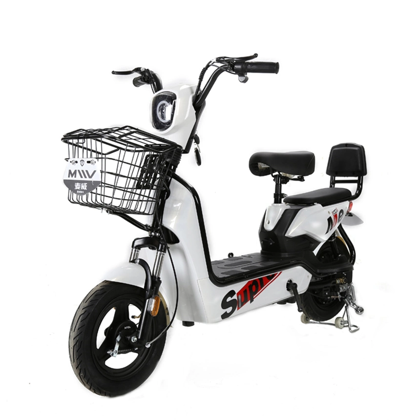 New Model 14 Inch Fat Tire E Bike 48V 350W Electric Bike Bicycle