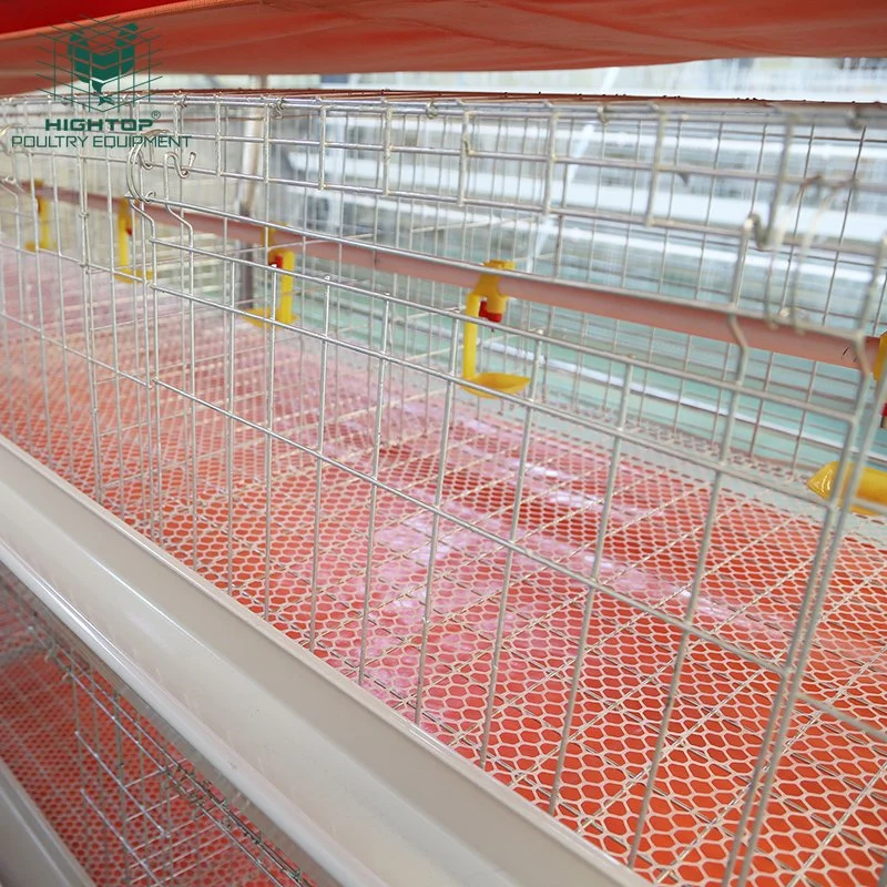 China Lieferant Geflügel Farm Ausrüstung Broiler Batterie Hühnerkäfig für Verkauf