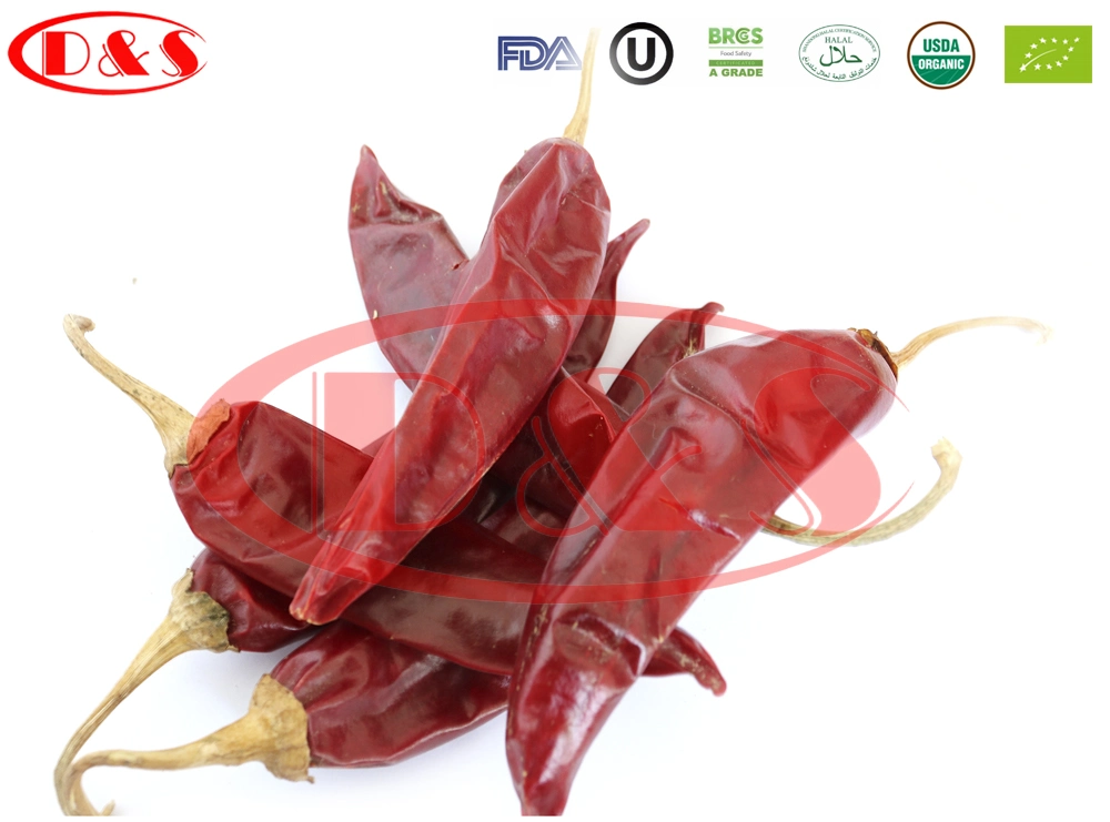 High-Quality Dry Red Tianjin Chili, Sanying Chili, Japanese Chili