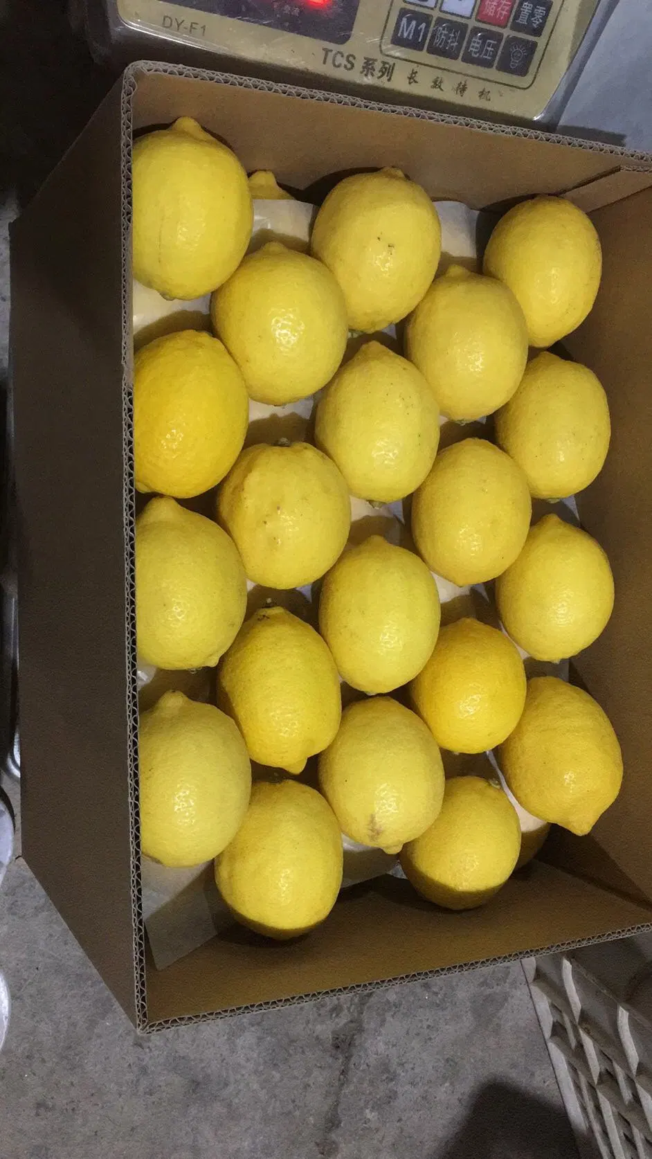 Chinese Natural Yellow Fresh Lemon Fruit for Sale 2023