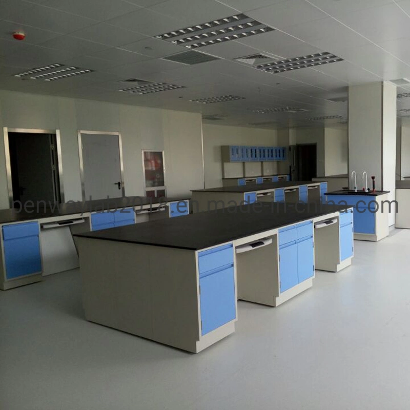 Chemical Storage Cabinet Lab Bench Laboratory Furniture