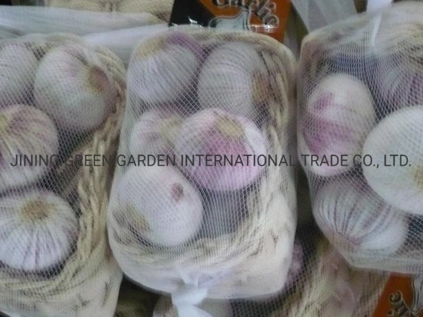 One Whole Bulb Fresh Garlic New Crop Yunnan China Good Tastes Stronger Flavour Health Nature Farm Product