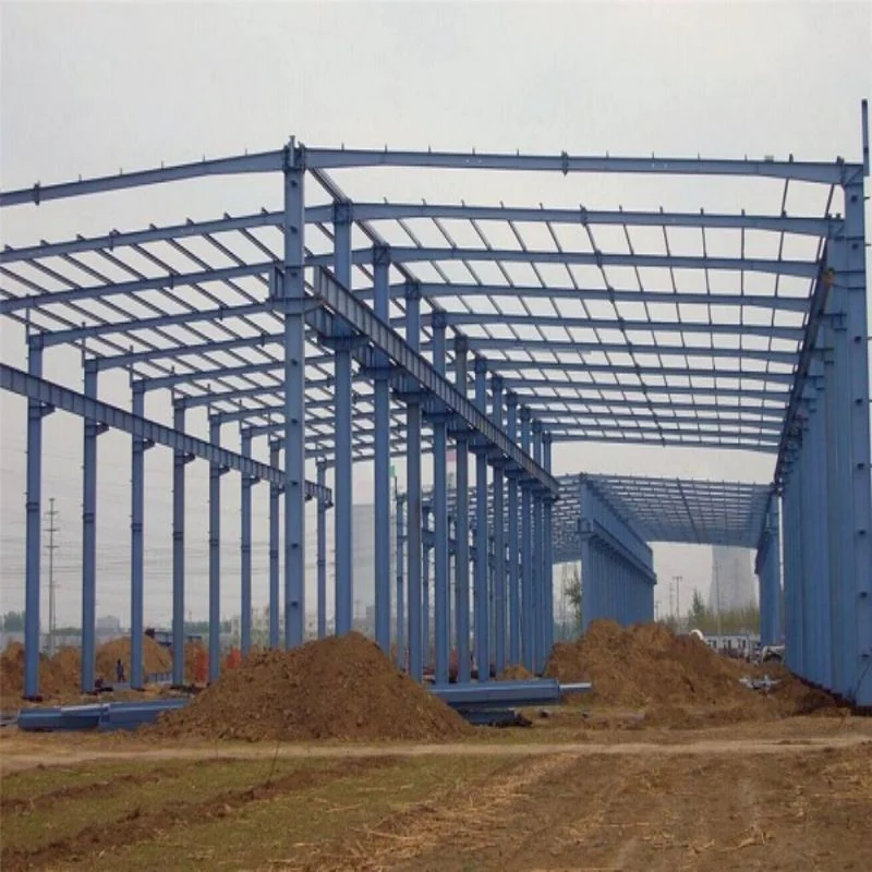 Turkey Metal Construction Projects/ Prefabricated Wide Span Steel Structure Building