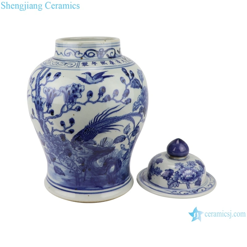 Rzsc07 Jingdezhen Antique Flor hermosa y patrón de pájaro jengibre cerámico Tarro