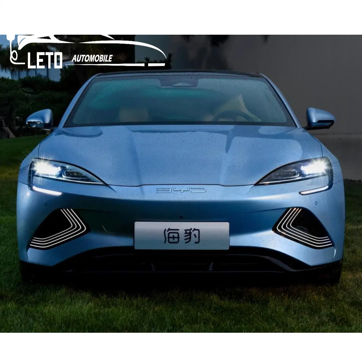 Factory Price Closed Leto Shandong, China Truck Electric Sedan with DOT Seal