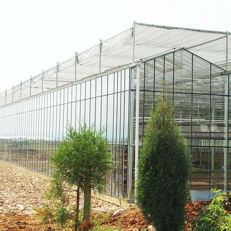 Horticulture Multi Span Agricultural Hydroponics Flower House Greenhouse