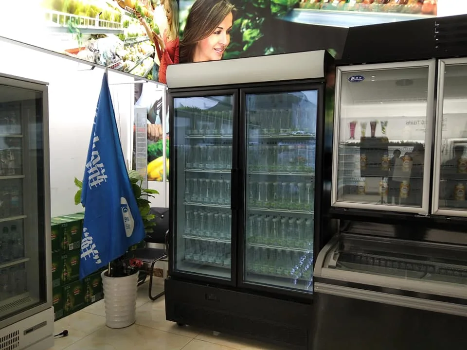 Unidad de refrigeración de casete Enfriador de bebidas en posición vertical de la puerta de cristal enfriadora de pantalla