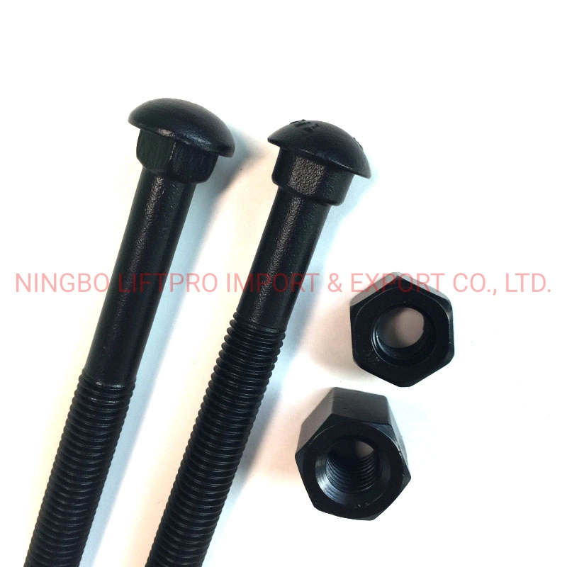 China Track Bolt and Nut Rail Way Black & SS304 SS316 Bolt