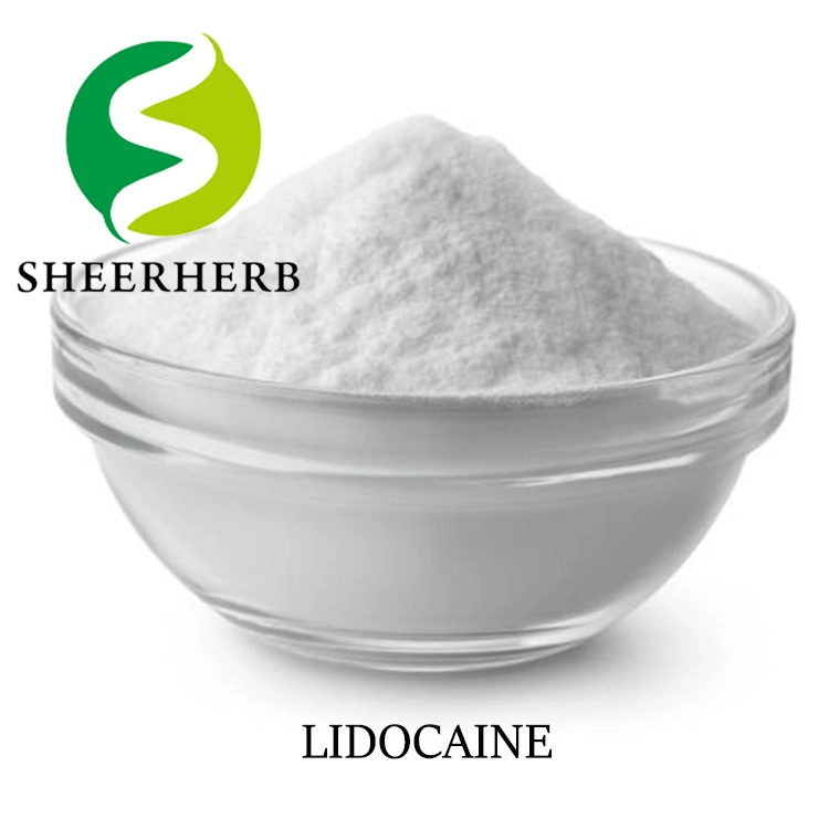 Sheerherb polvo de lidocaína al mejor precio al por mayor de 99% lidocaína CAS 137-58-6