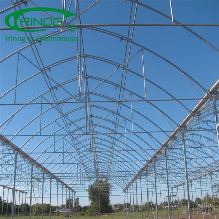 Commercial Large Plastic Film Green House for Plant Growth