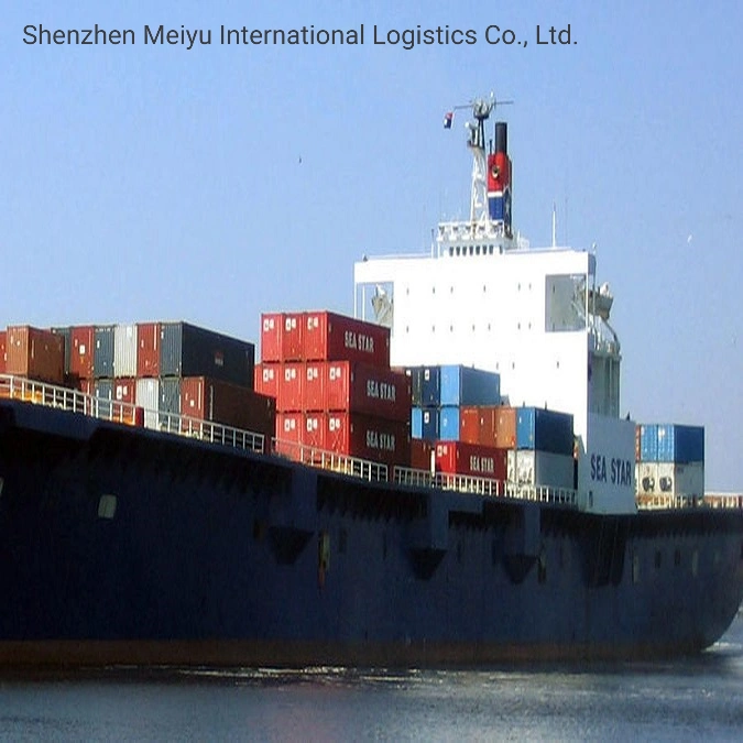 Fast Response LCL/FCL Lowest Shipping Rates Sea Freight to Mexico