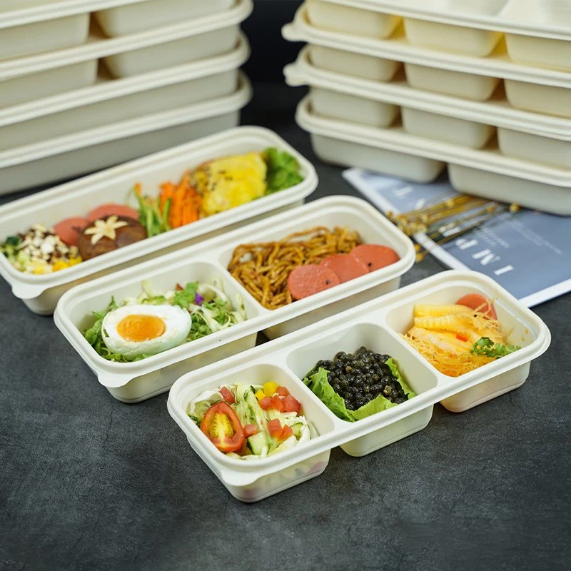 Biodegradable Sugar Cane Lunch Bento Box with Lid