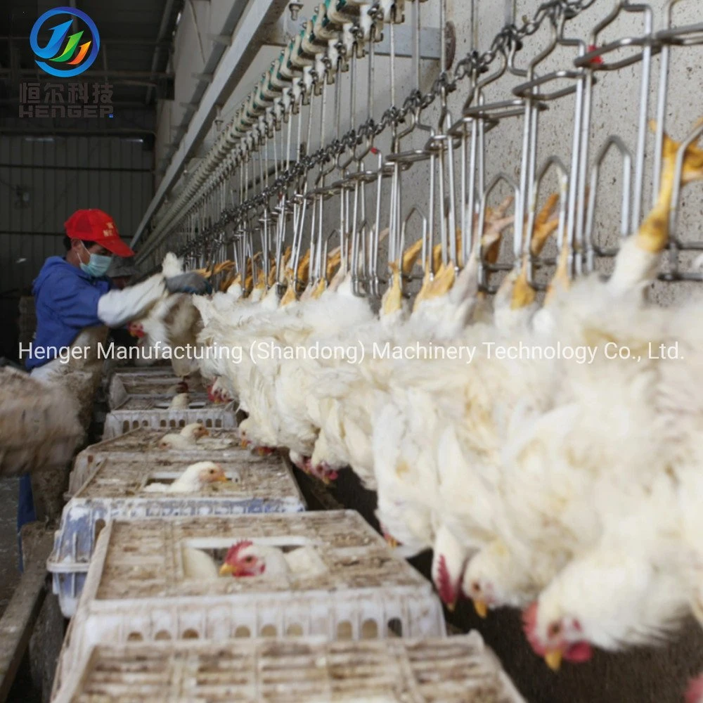 Poultry Slaughter of Chickens/Slaughter Equipment Duck/Poultry Slaughter Line