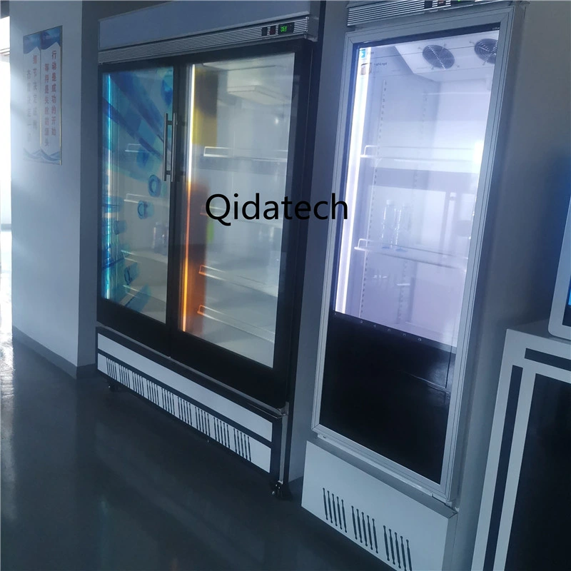 Manufacture Good Quality 55" Double Sides OLED Display