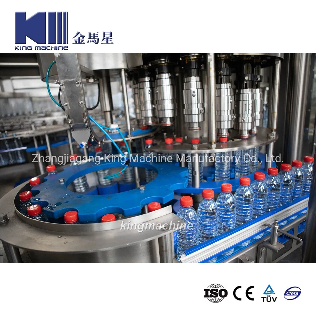 High Speed Rotary Type Mineral Water Filling Machine (CGF-XXX)