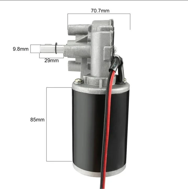 Beudmke D49 D60 D63 12V 24V engranaje eléctrico DC Worm Motor/Motor de engranaje planetario para sistema de elevación/Motor de limpiaparabrisas/dispositivos de transmisión/Motor de apertura de ventanas