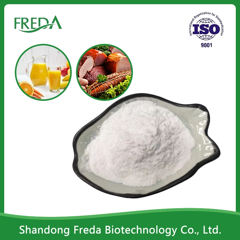 Wholesale/Supplier Bulk High quality/High cost performance  Odorless Natamycin Best Price Natamycin Food Preservative Natamycin Preservative