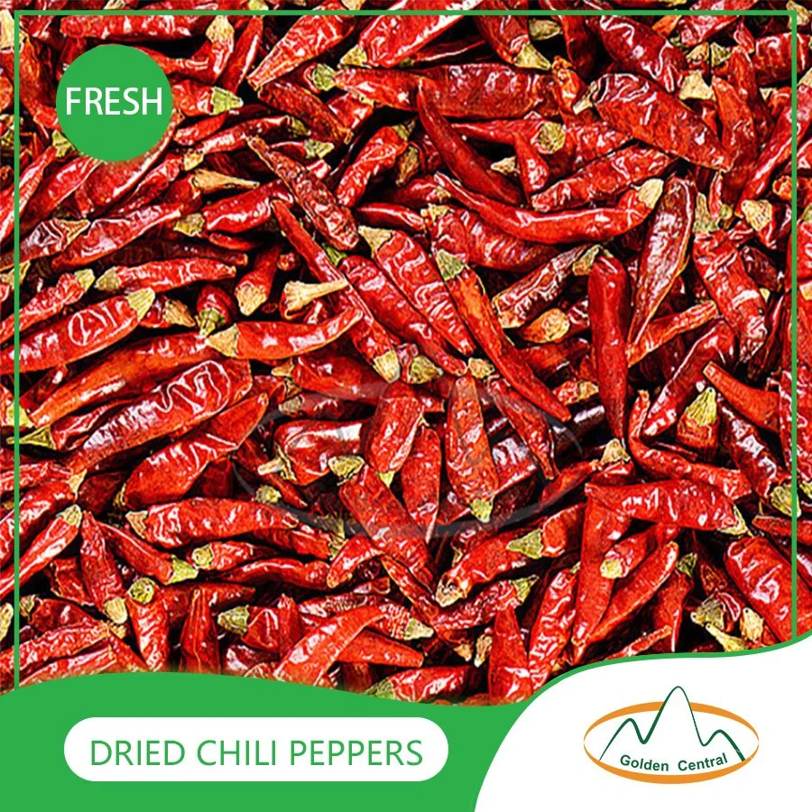 Top Produkt 100% Reine Getrocknete Chili Best Natural Hot Dry Red Chili Top Qualität Getrocknete Red Chili