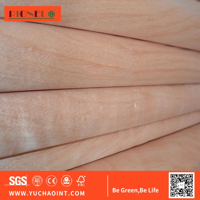 Natural Okoume/Birch/Pine Wood Veneer for India, Malaysia, Indonesia