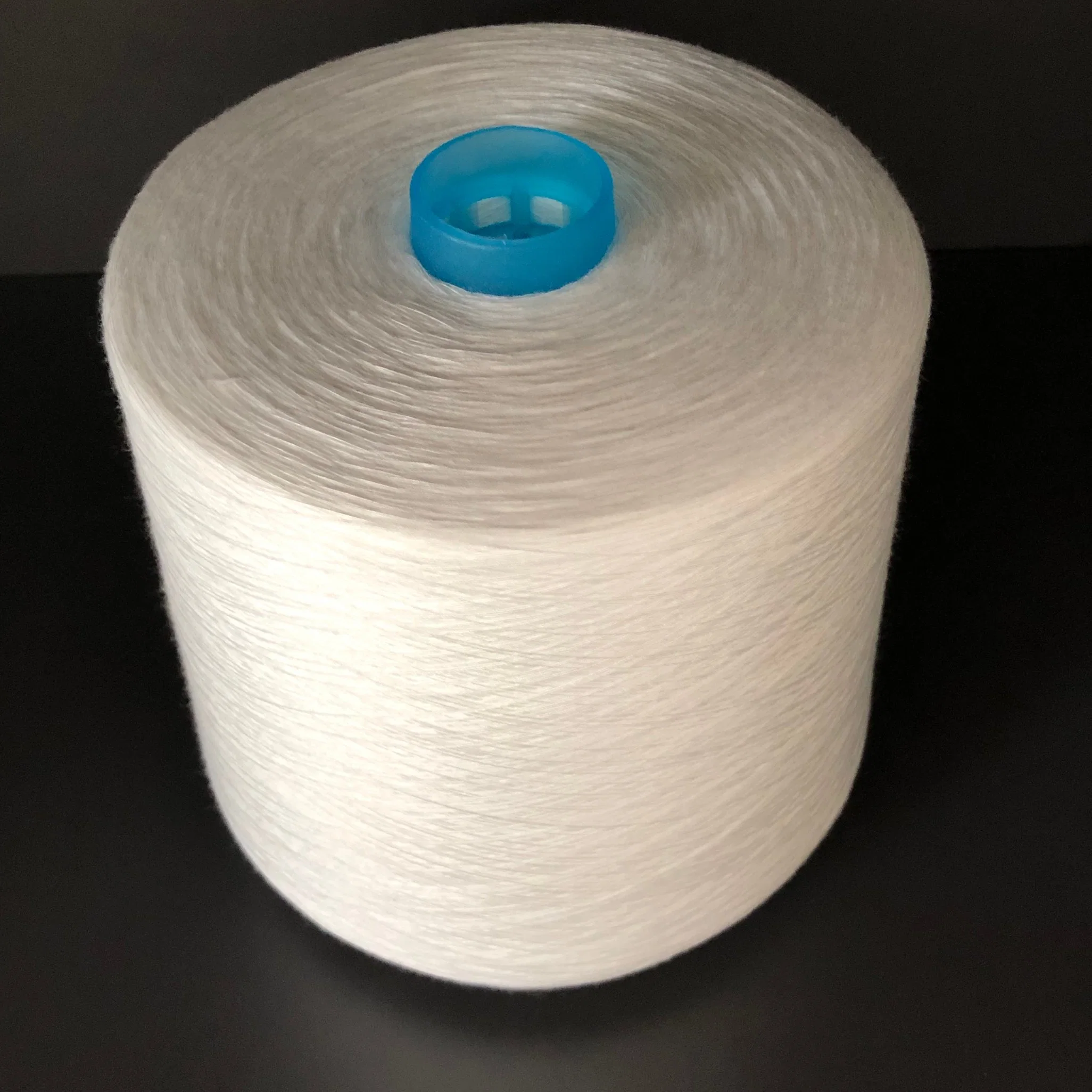 20s/2, 40s/2, 50s/2, 60s/2 Stock Sale Spun Polyester Yarn Sewing Thread Fatory Direct Supply 2022