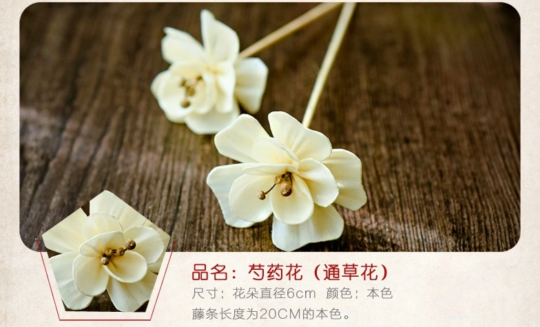 Handmade of Wood Sola Dried Flowers in Air Fresheners/Sola Reed Flower Stick