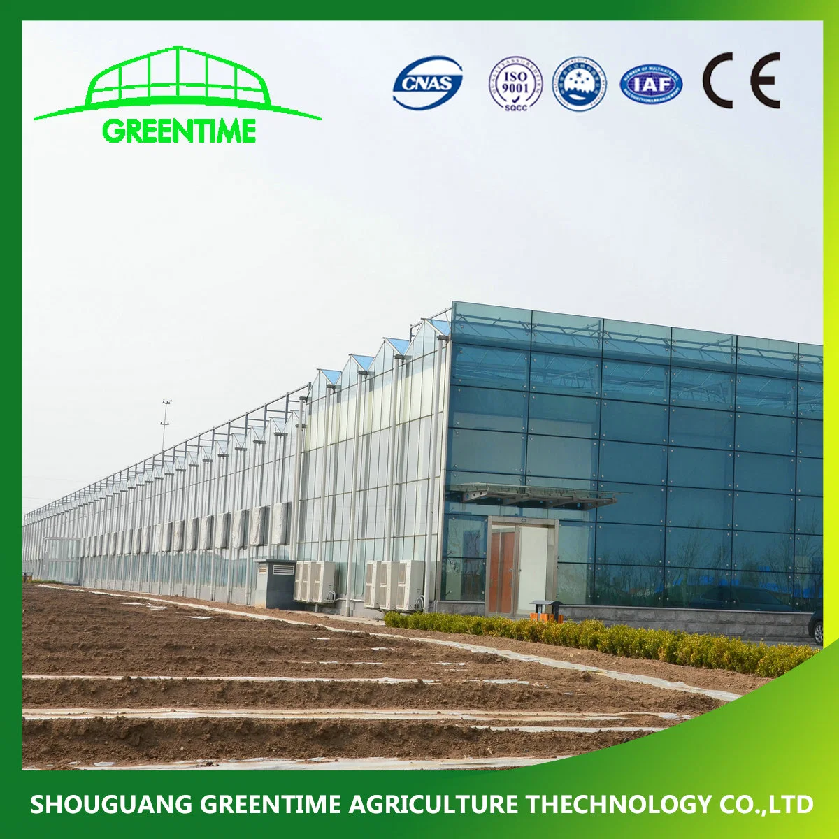 Competitive Venlo Type Galvanized Steel Structure Glass Greenhouse with Spraying System for Hydroponics/Strawberry/Vegetables/Flowers/Tomato/Cucumber