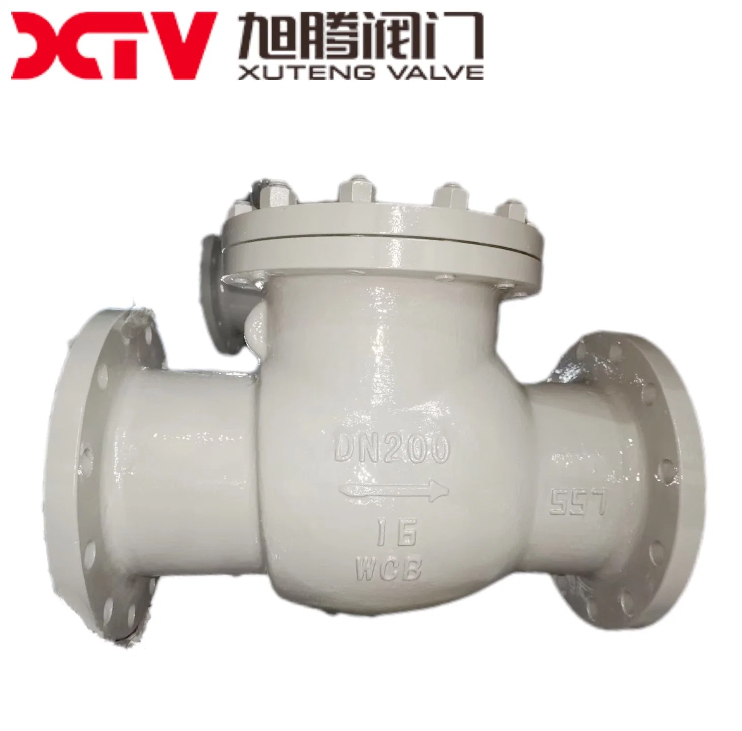 Stainless Steel ANSI 150lb Industrial Flanged Check Valve/Swing Check Valve/Non Return Valve