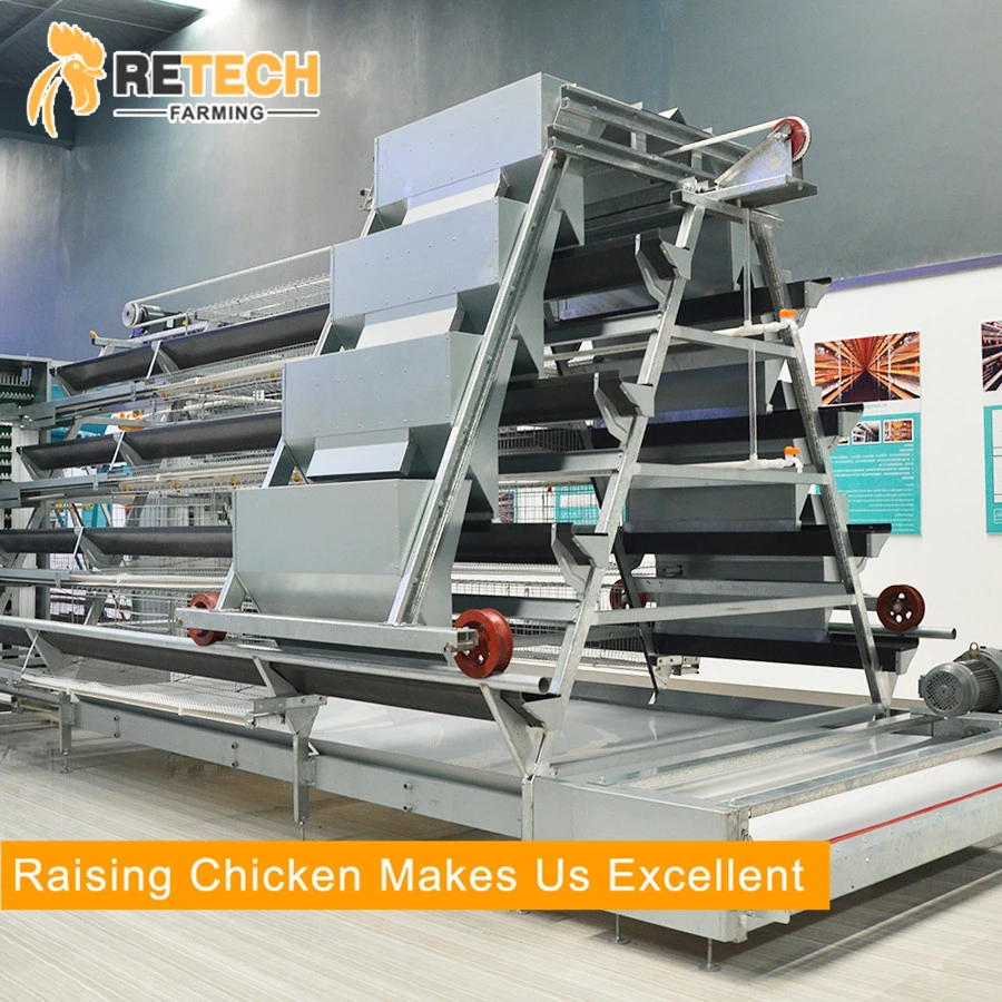 A Type Hot Selling Automatic Poultry Equipment For Layers