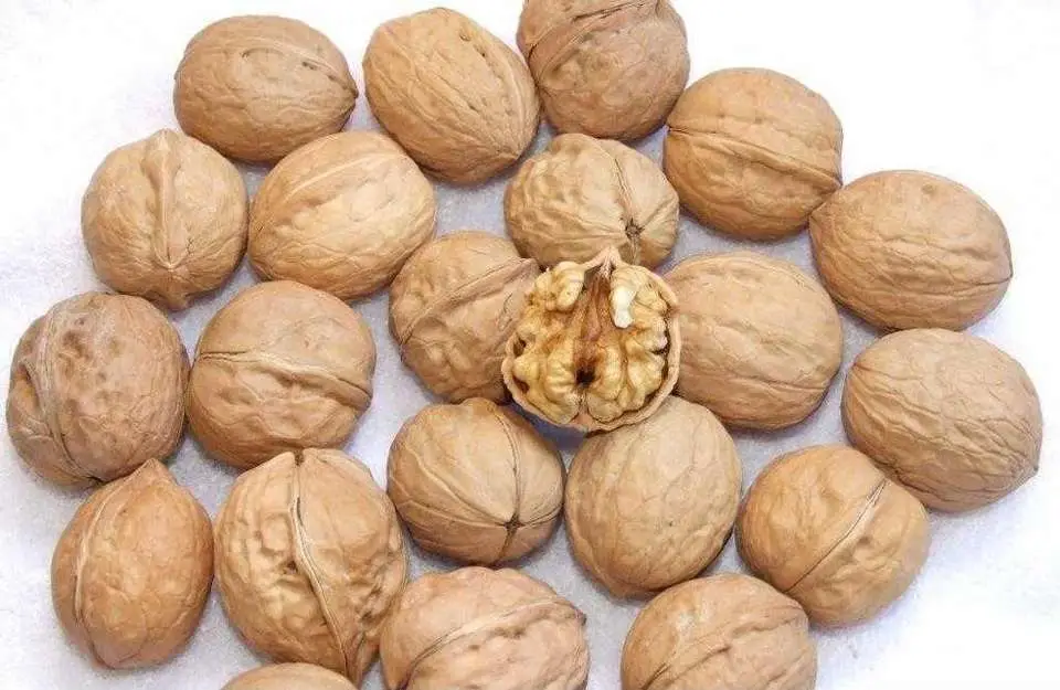 High quality/High cost performance  Best Price Wholesale/Supplier Factory Thin Skin 32++ Type 33 Walnut