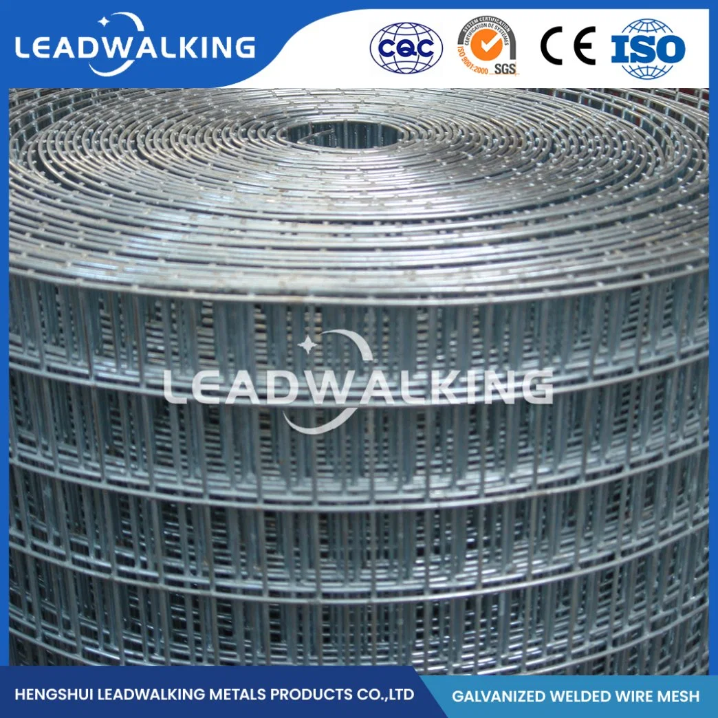 Leadwalking recubierto de PVC de 2X2 Proveedores de malla de alambre soldado ODM recubierto de Gi personalizada mallas soldadas de 0,5 mm de espesor de alambre Zinc-Coated China Mallas Soldadas para rack