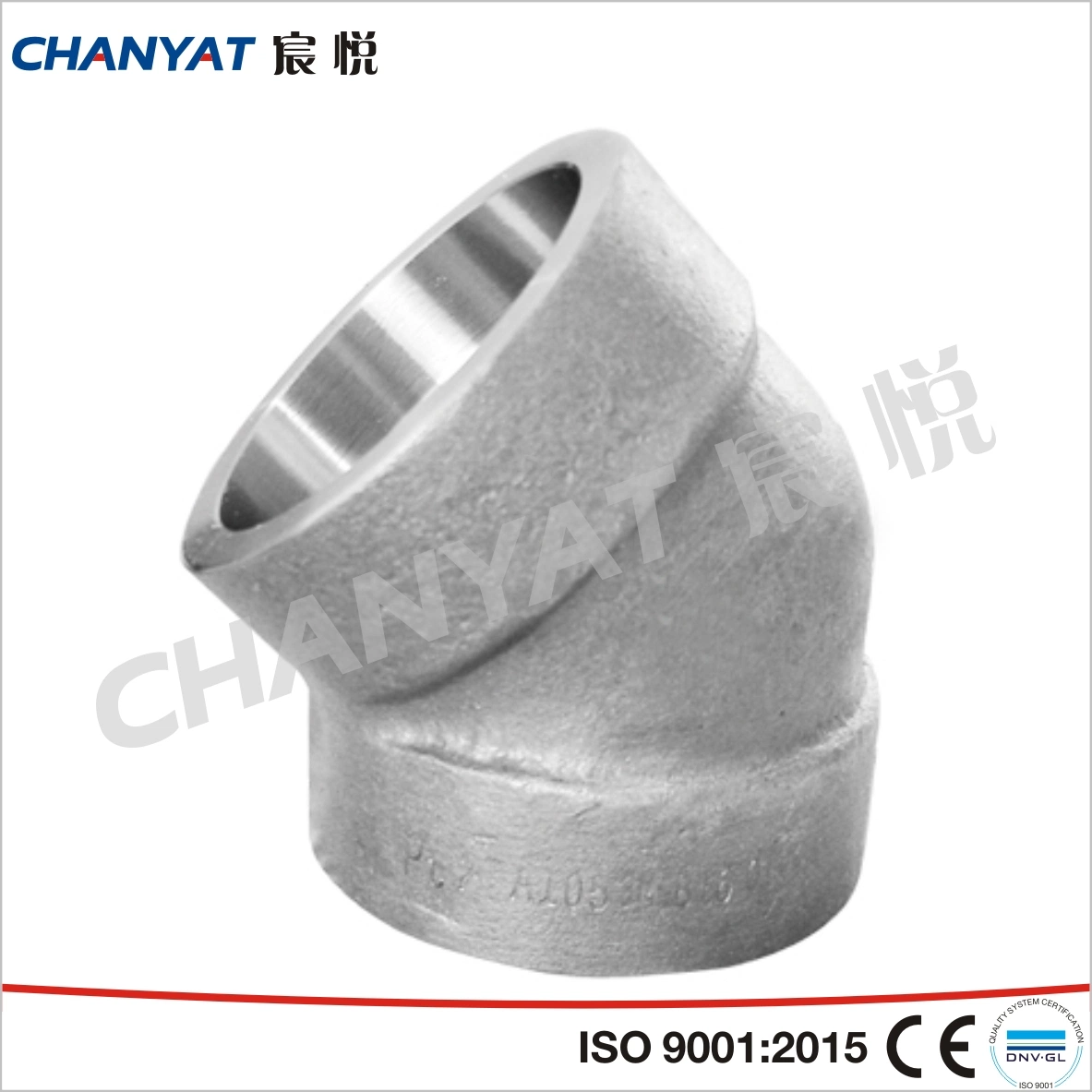 ASME, Mss, DIN, JIS, GOST Stainless Steel Forged Fitting