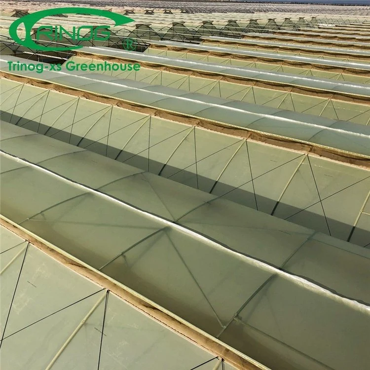 Best Design Multi-span Commercial Plastic Film Greenhouse for Seeding Planting