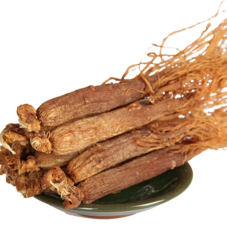 High Quality Chinese Herb Medicine Whole Red Ginseng Root
