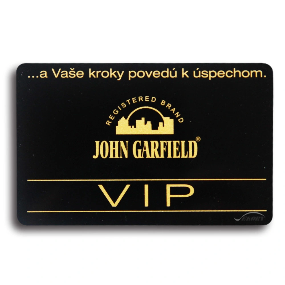 Wholesale Factory Price Custom Club Membership Card PVC VIP Card