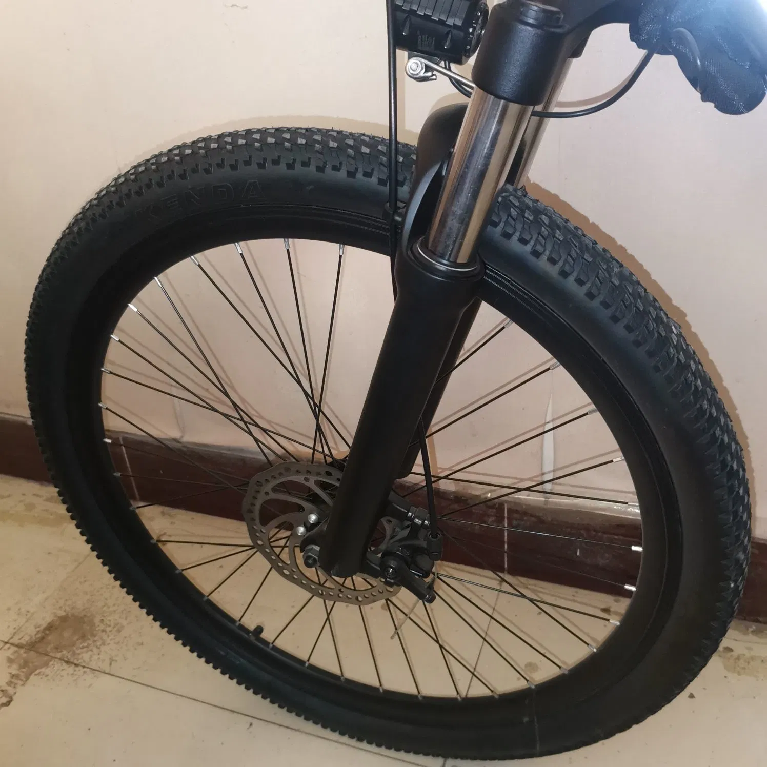 Moped with Pedals Motor Lithium Electric Bicycle