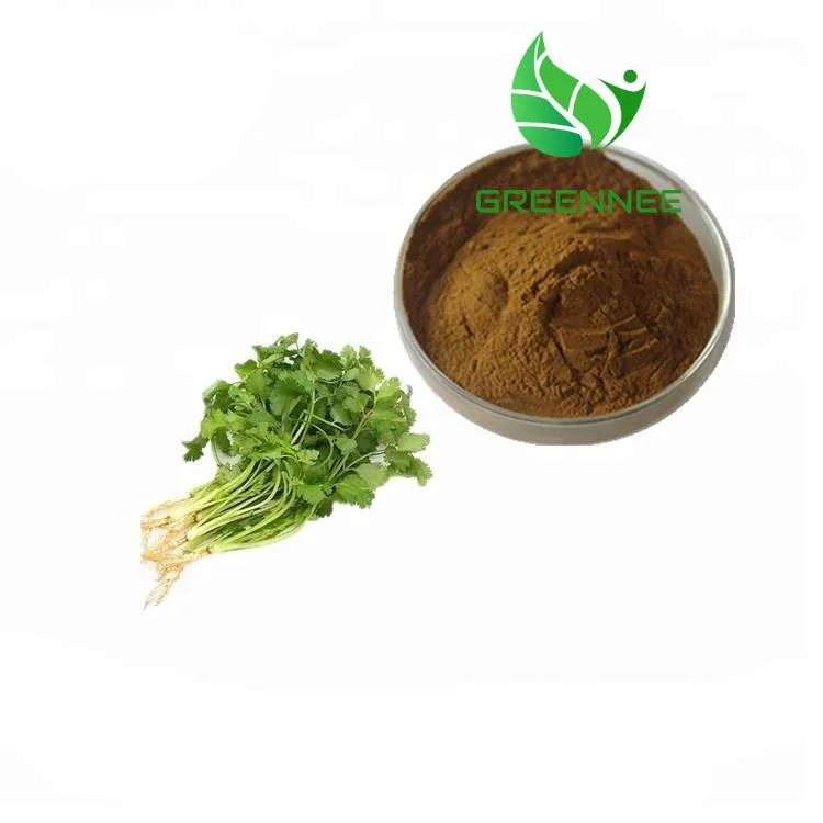 Top Quality 10: 1 15: 1 Coriander Seed Extract Plant Extract Cilantro (caraway) Extract