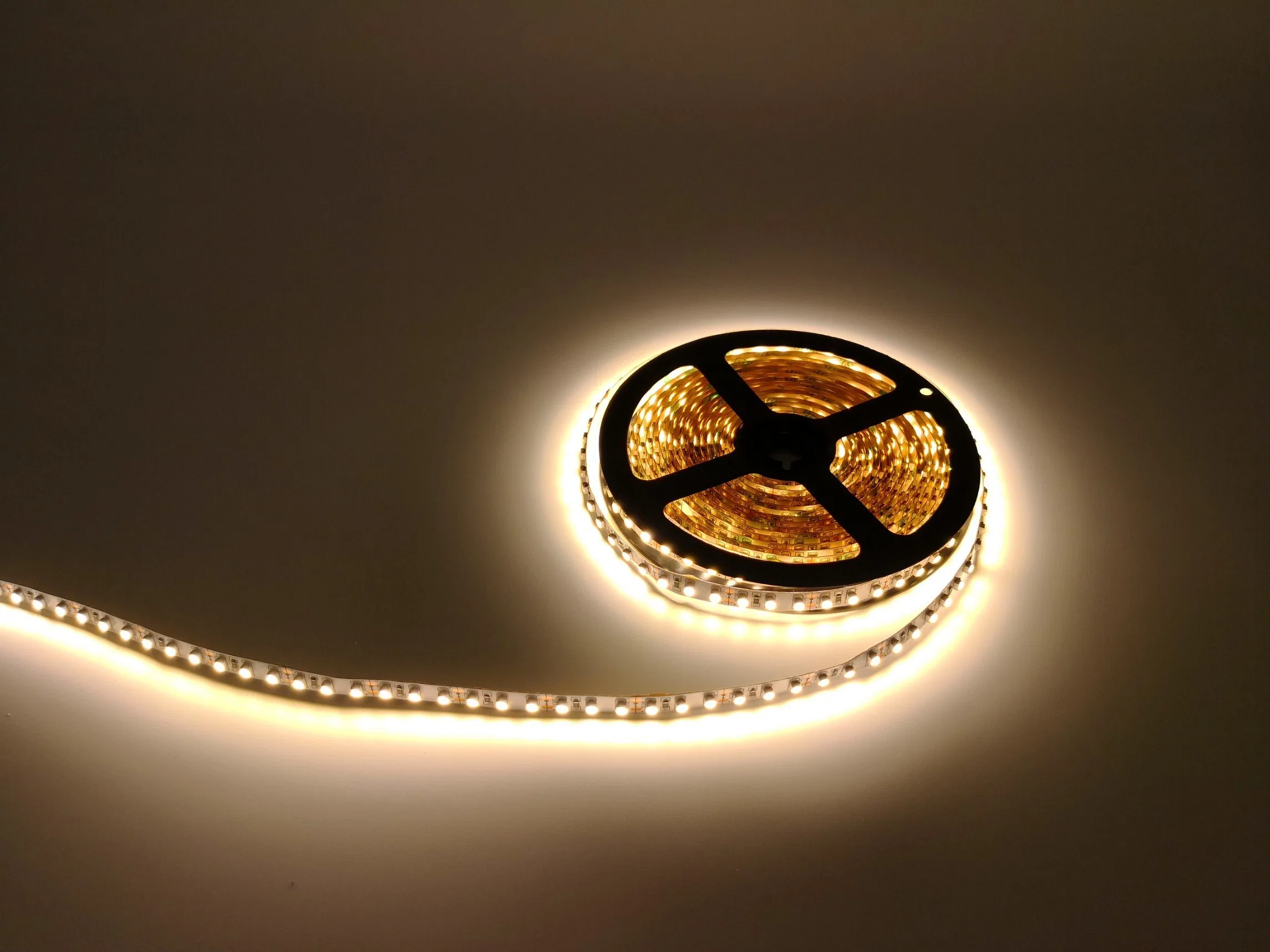 Holiday light Smart DC24V 12V Indoor 120leds/m SMD 3528 Flexible Led Strip Light