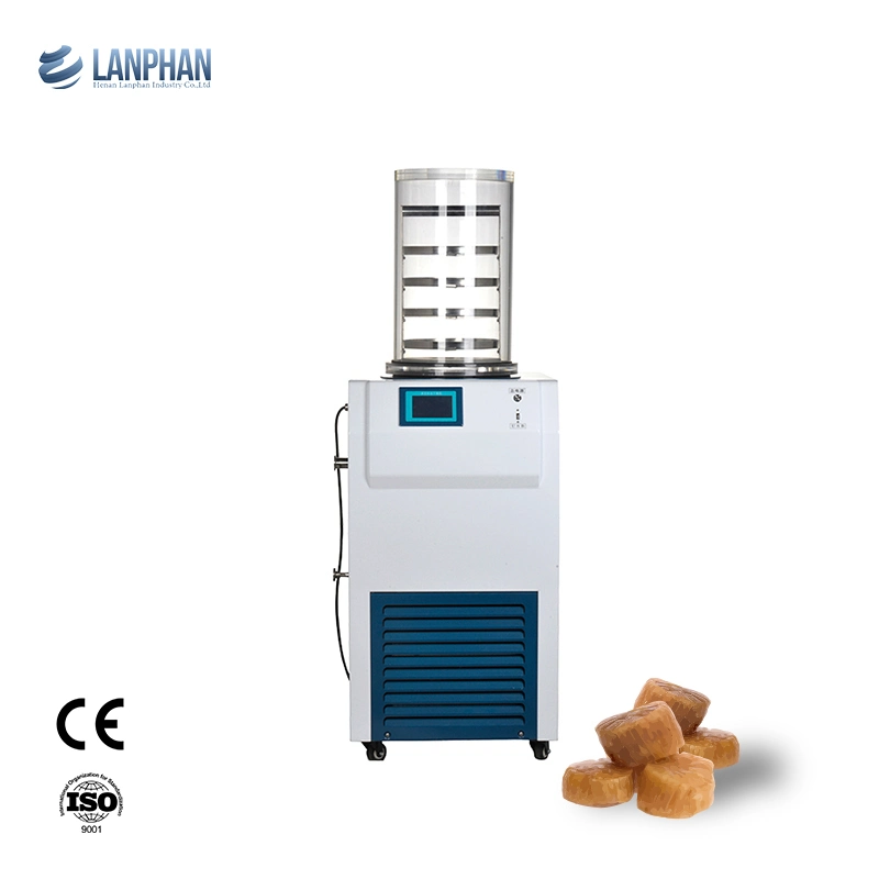 Laboratory/Pilot Biobase Outlet Pilot Scale Vacuum Freeze Dryer /Lyophilizer