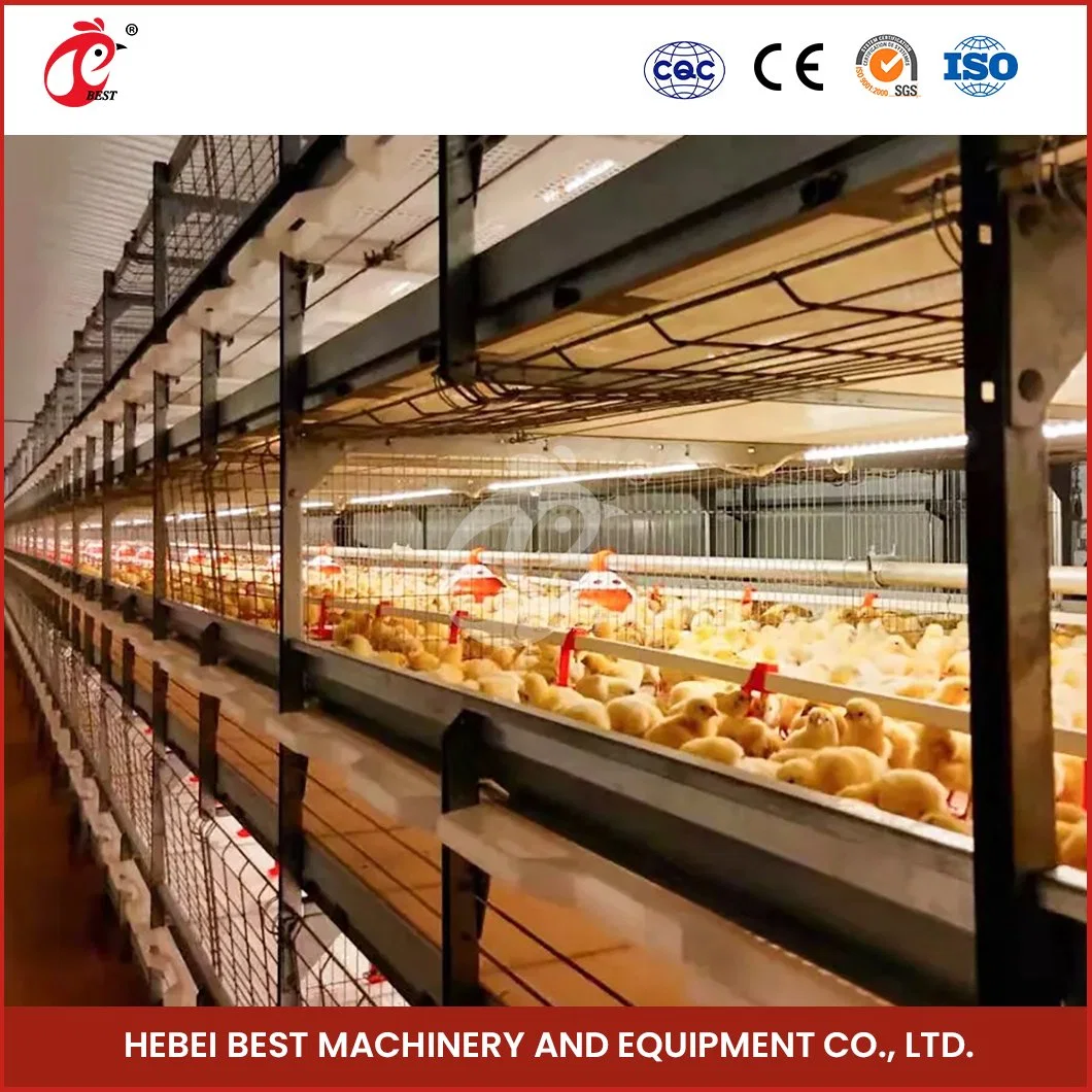 La Chine en plastique Bestchickencage poulailler Factory châssis en H Cages Boriler automatique l'échantillon disponible Restaurant applicable Cock Cage de poulet