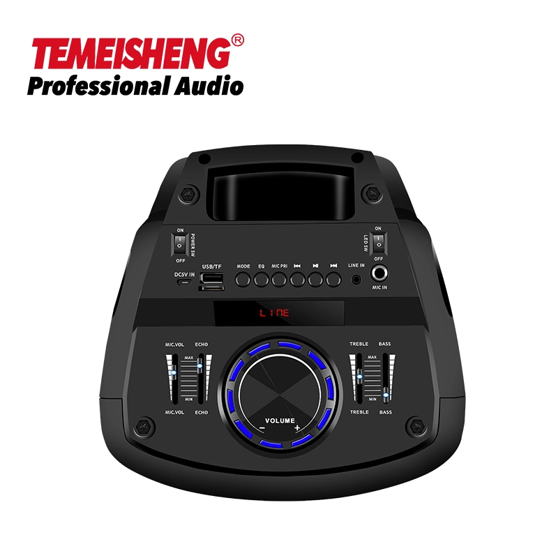 Temeisheng Tms-609 Double 6,5 Zoll Professional Party Box Sound System Lautsprecher Box DJ Verstärker Tragbarer Bluetooth-Lautsprecher