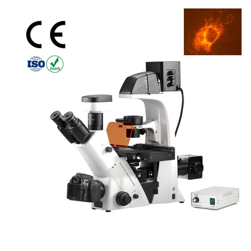 Biological Laboratory Professional Fluorescence Microscope Used in Scientific Research Bds Series