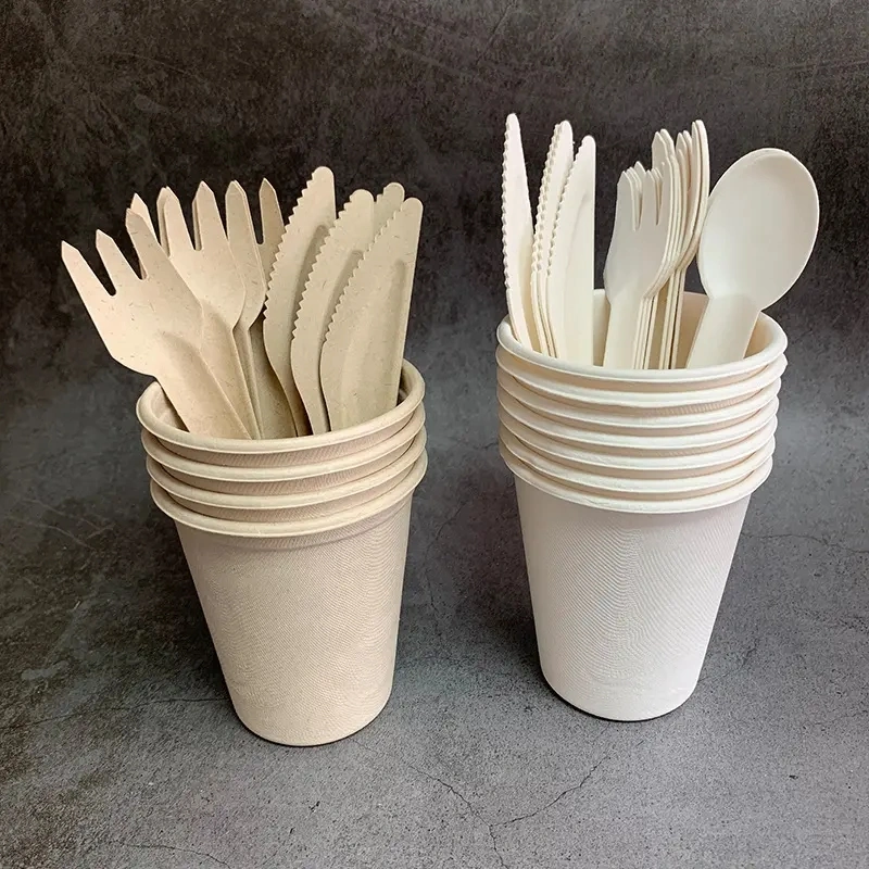 Vente en gros cuillère personnalisée ensemble de couteaux Bagasse biodégradable écologique Fourche jetable