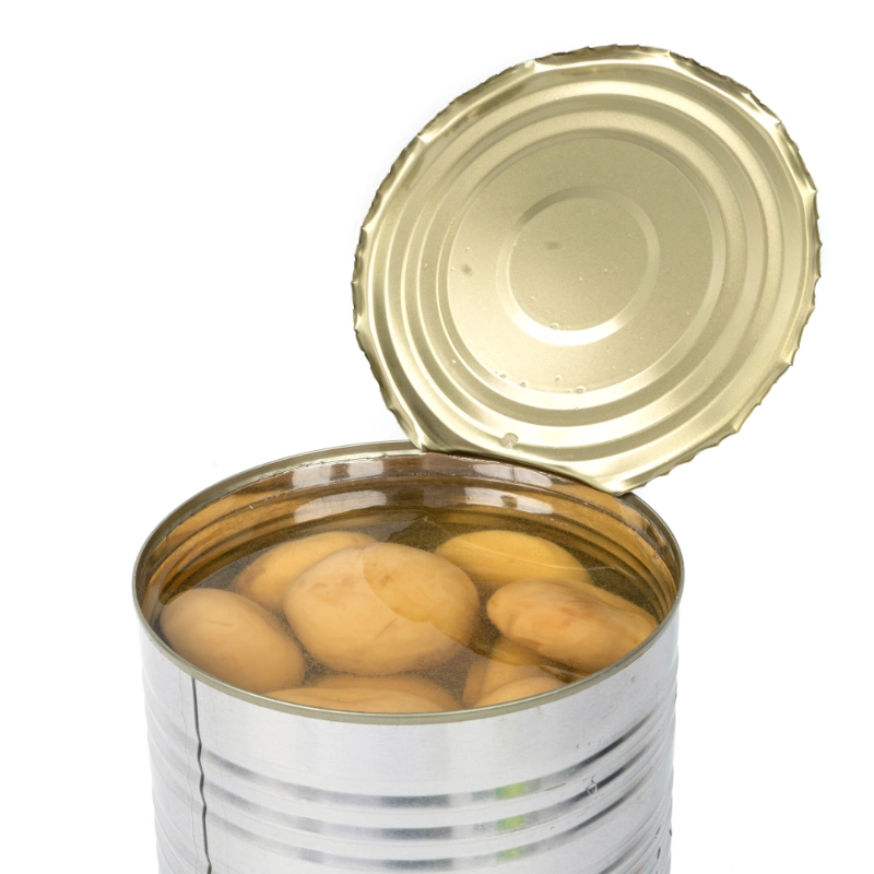 Canned Mushroom Whole in 3 Kg