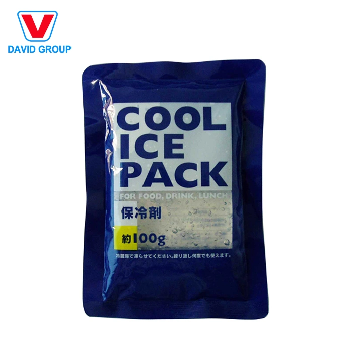 Promotion Custom Ice Pack Gel Packs Food Transparent Cooler Bag